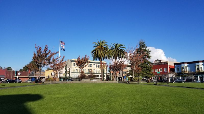 Arcata Plaza: The Heartbeat of a Laid-Back Community