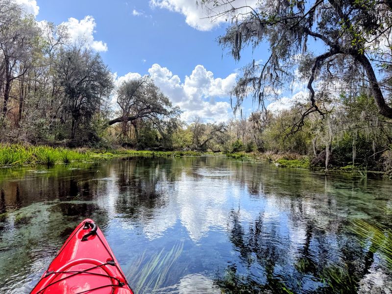 Arrive Early — The Park Fills Up Faster Than You Might Expect
