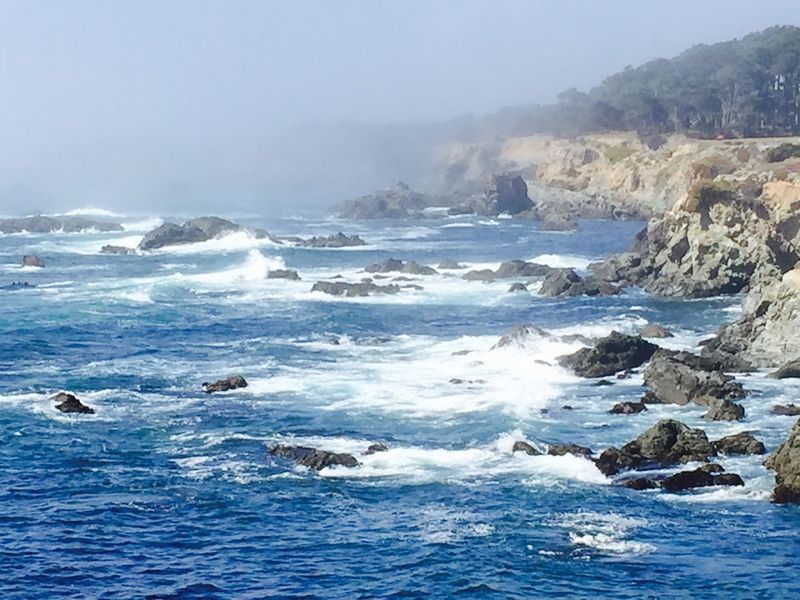 Arts and Culture Scene: Creativity Thriving by the Ocean Arts and Culture Scene: Creativity Thriving by the Ocean