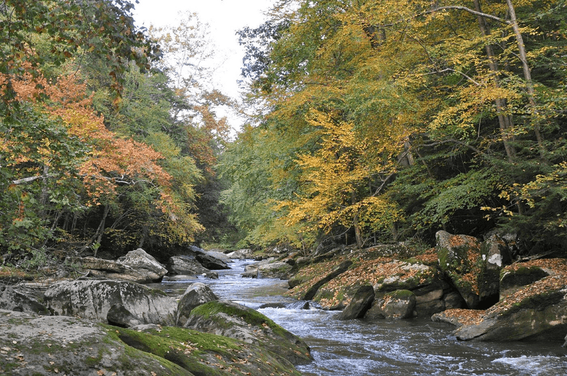 Autumn Foliage That Puts New England to Shame
