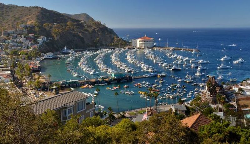 Avalon: A Tiny Town With Big Personality