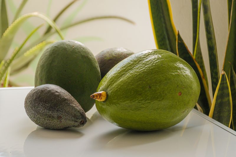 Avocados