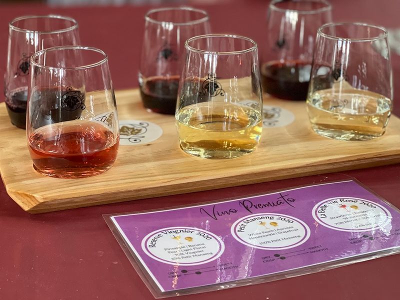 Award-Winning Wines That Speak for Themselves