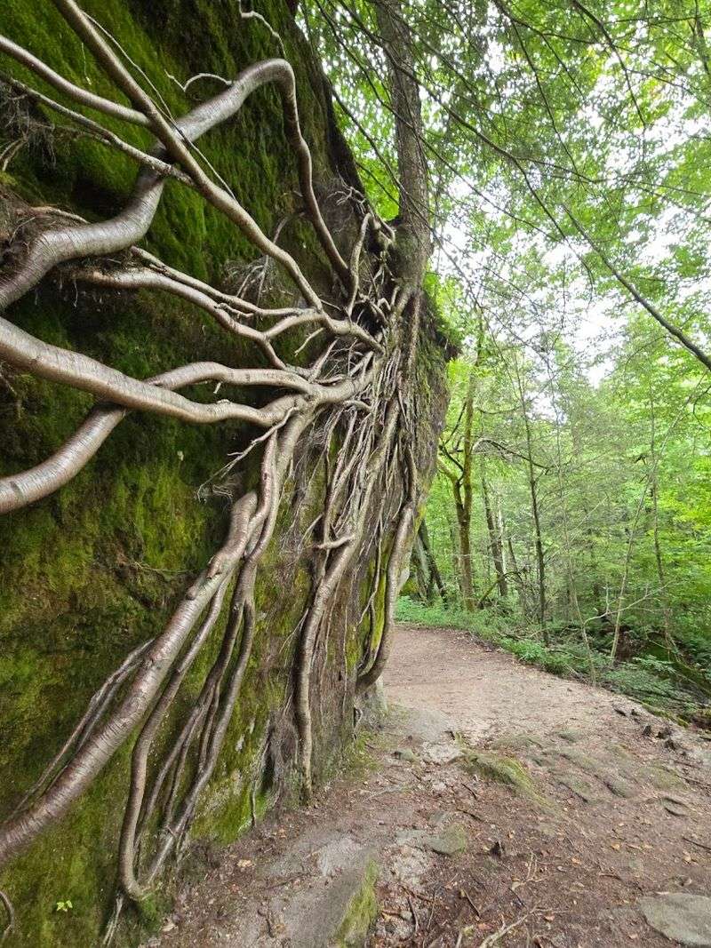 Axe Throwing and Extra Activities Beyond the Trail
