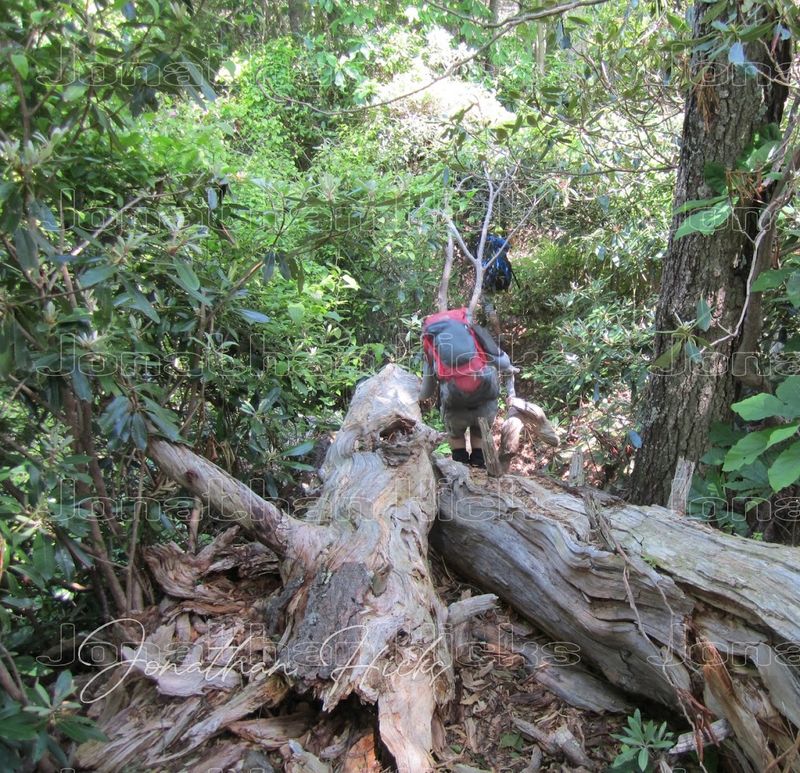 Backcountry Hiking for the True Adventurer