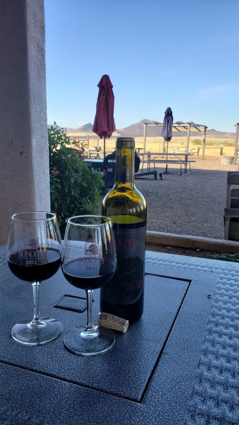 Baja Boo'z — The Signature Wine You Have to Try Baja Boo'z — The Signature Wine You Have to Try