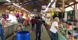 Bargain Hunters Across South Carolina Can’t Get Enough Of This Massive Swap Meet That Rivals Costco