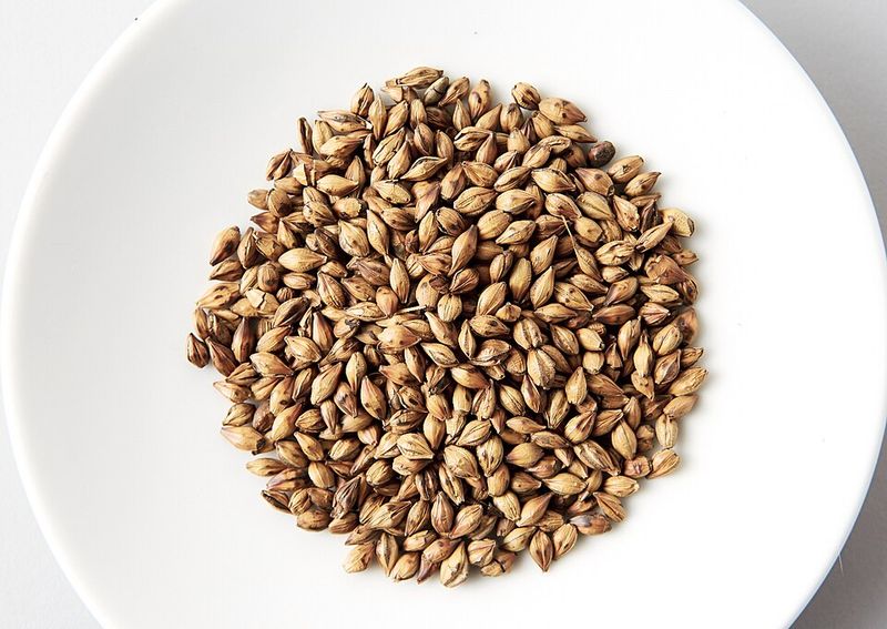 Barley