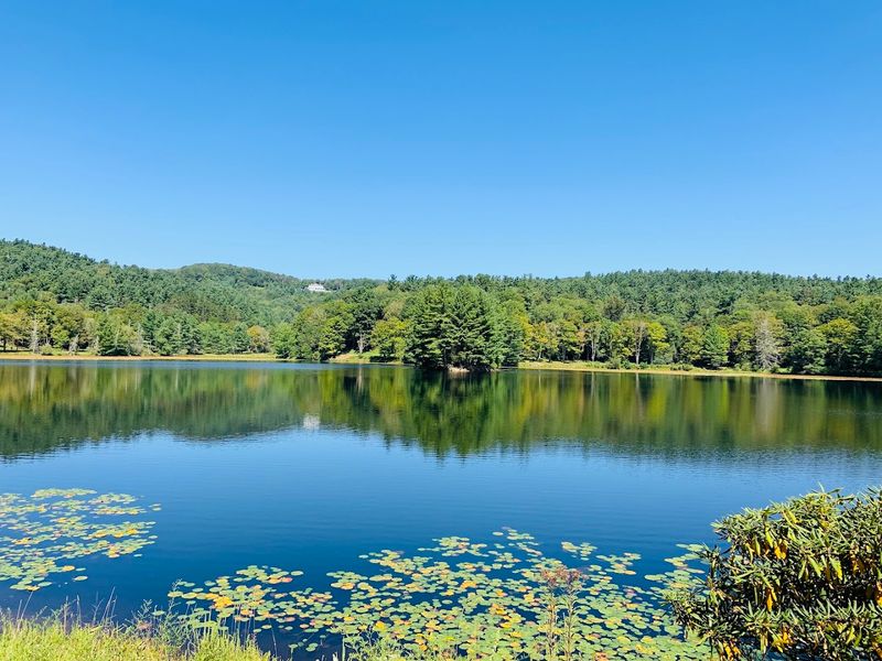 Bass Lake and Its Peaceful Shoreline