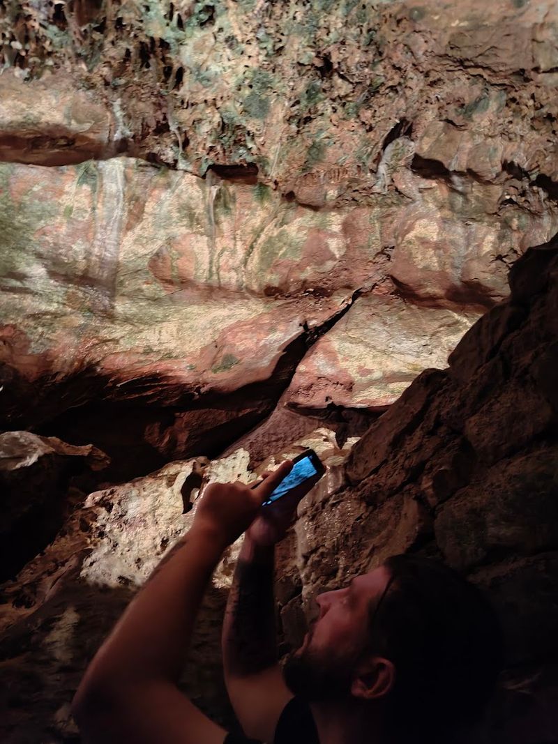 Bats That Call the Caverns Home Year-Round