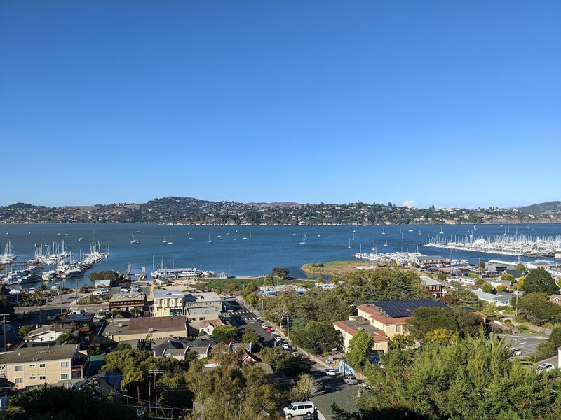 Bay Model Visitor Center: Where Science Meets the Sea