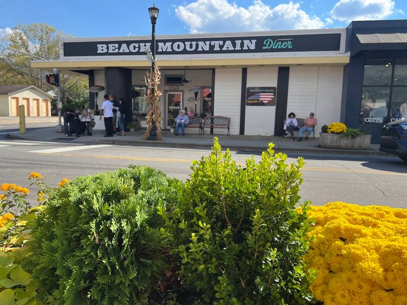 Beach Mountain Diner - Waynesville, North Carolina