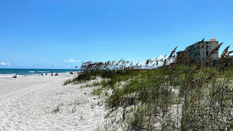 Beachcombing and Shell Collecting Along the Shore