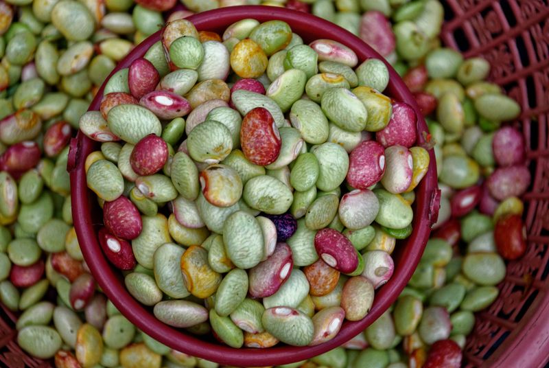 Beans