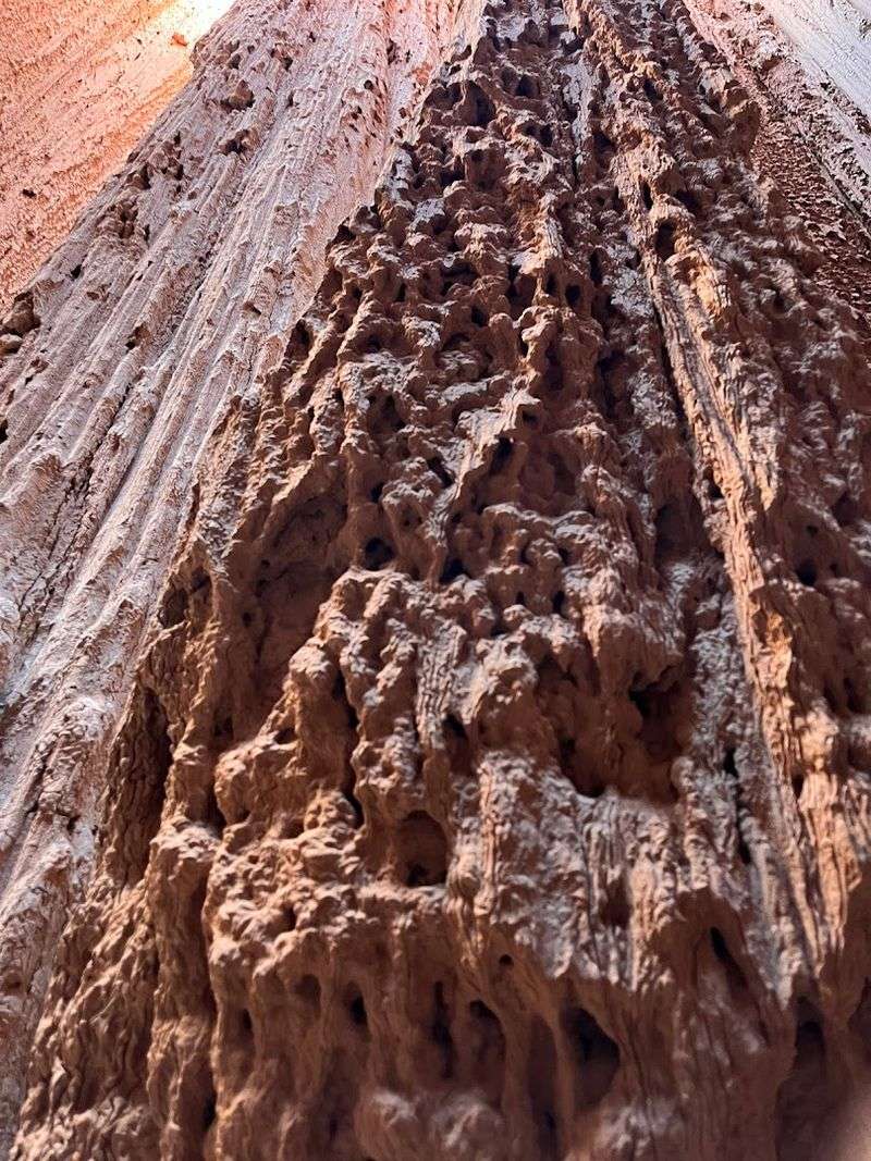 Bentonite Clay: The Science Behind the Magic