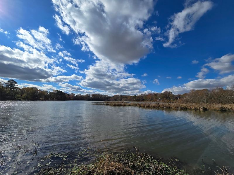 Berry Shoals Pond Is Bigger Than You Expect Berry Shoals Pond Is Bigger Than You Expect