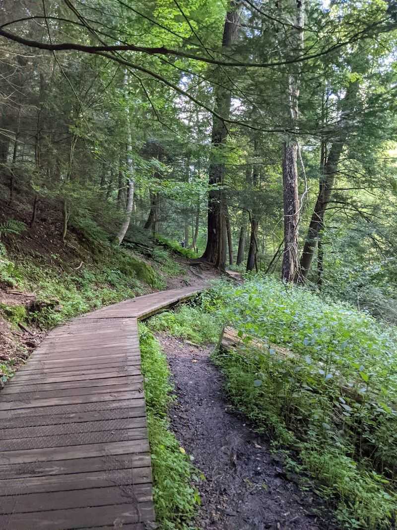 Best Seasons to Hike This Trail