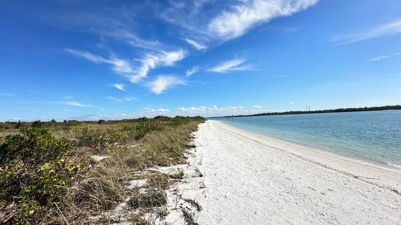 Best Time of Year to Visit Shell Key