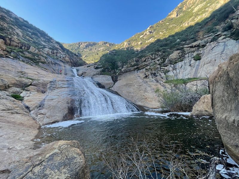 Best Time of Year to Visit for Maximum Waterfall Flow