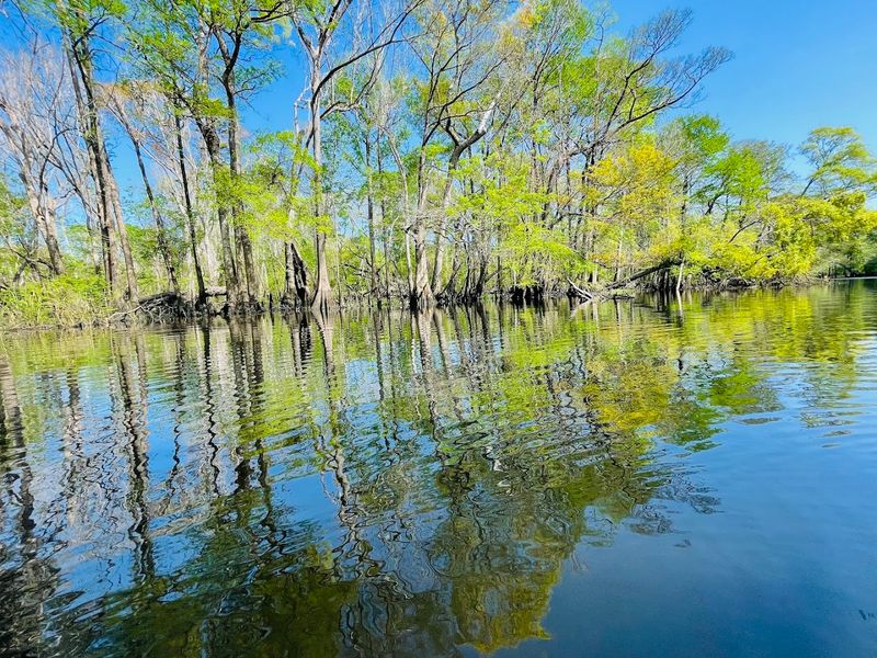 Best Time to Visit: Beat the Crowds