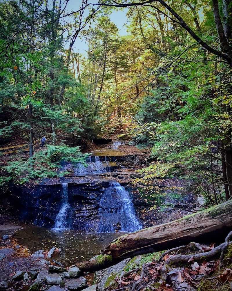 Best Time to Visit: Seasonal Highlights Throughout the Year Best Time to Visit: Seasonal Highlights Throughout the Year
