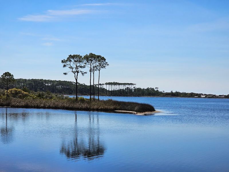 Best Times of Year to Visit Grayton Beach Trail Best Times of Year to Visit Grayton Beach Trail