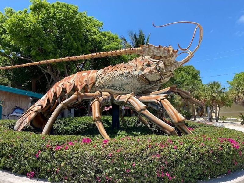 Betsy the Giant Lobster: The Icon You Have to See