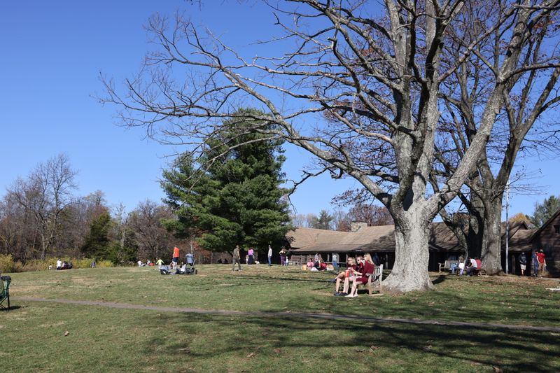 Big Meadows Campground: The Heart of Family Camping in the Park Big Meadows Campground: The Heart of Family Camping in the Park