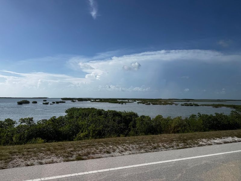 Big Pine Key — Where Wildlife Roams Free