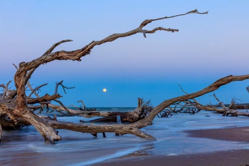 Big Talbot Island State Park - Jacksonville, Florida Big Talbot Island State Park - Jacksonville, Florida
