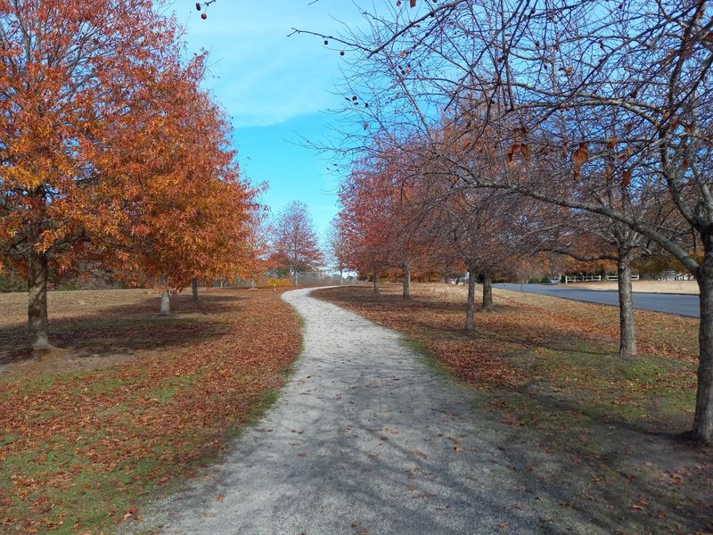 Bike-Friendly Trails for Active Families