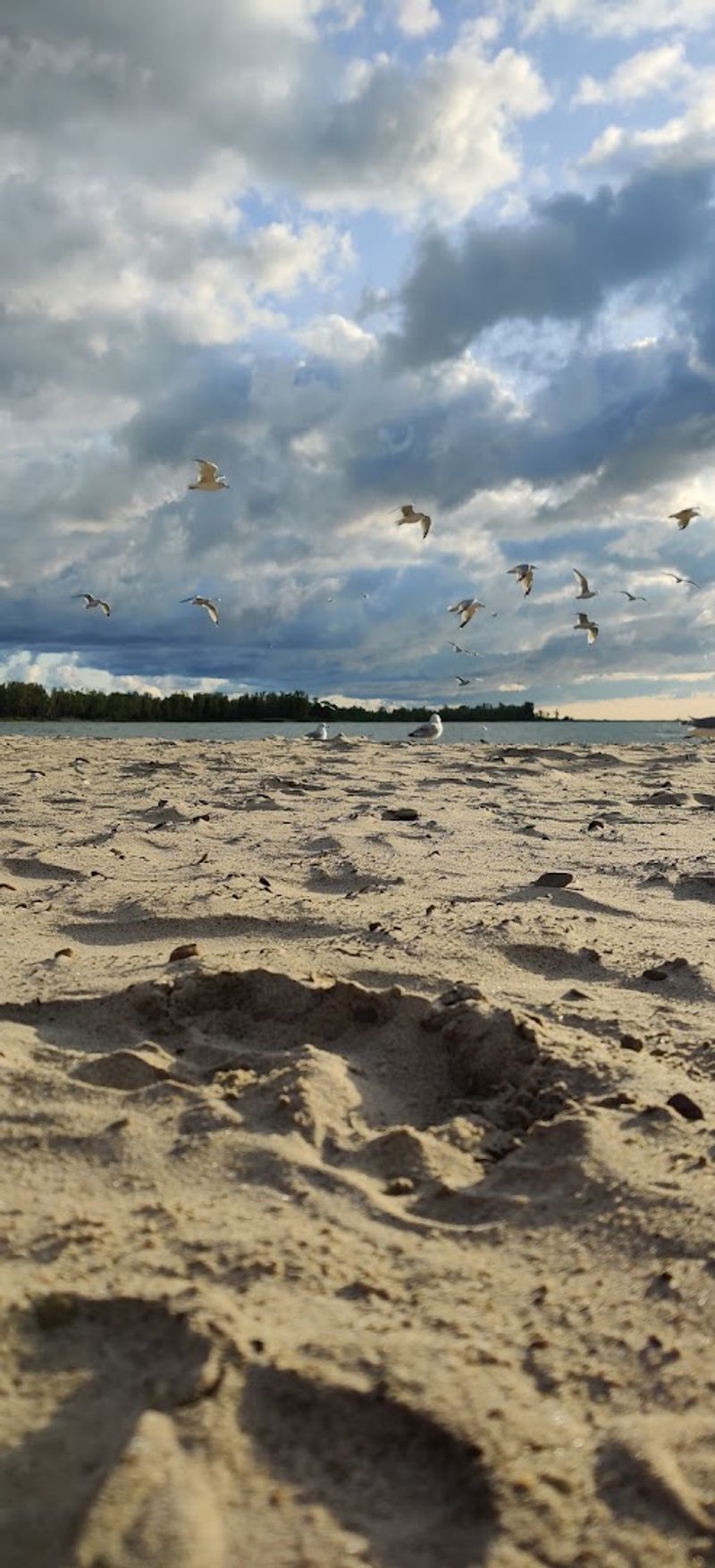 Biking the Presque Isle Trails to Get There