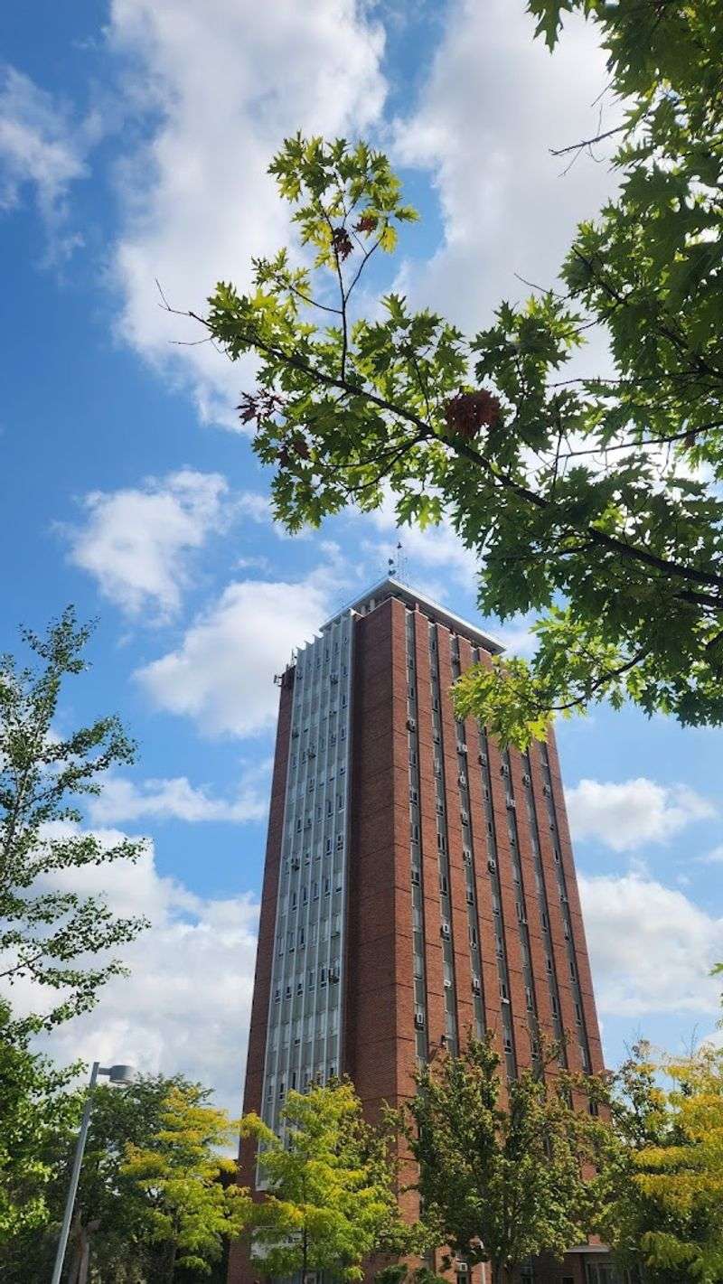 Binghamton University — Energy That Lifts the Whole City