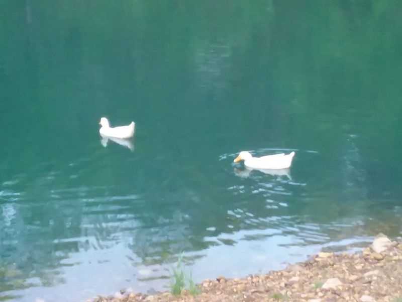 Bird Watching Opportunities That Surprise Visitors