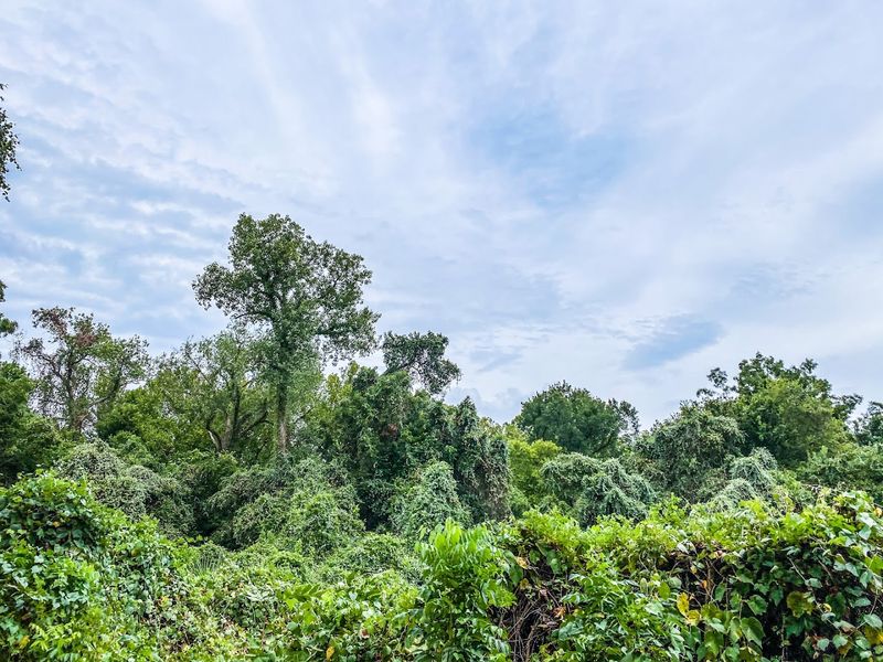 Bird Watching Paradise in the Heart of Texas Bird Watching Paradise in the Heart of Texas