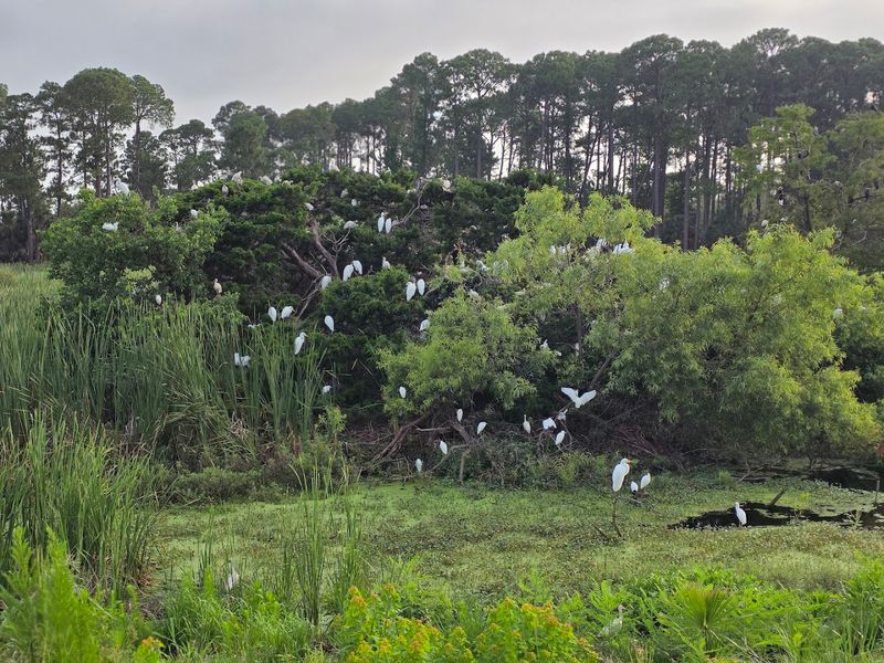 Bird Watching With Over 50 Species to Discover