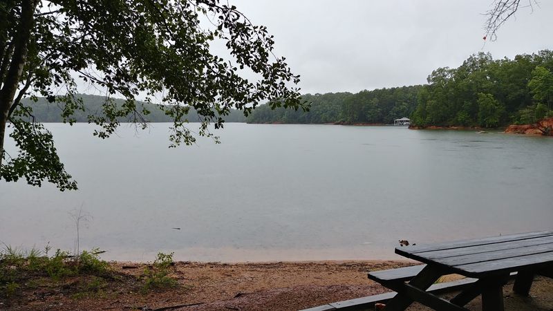 Birding Opportunities That Delight Nature Enthusiasts