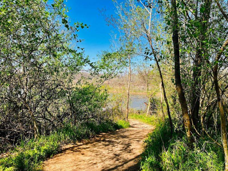 Birdwatching Heaven in the Heart of Texas