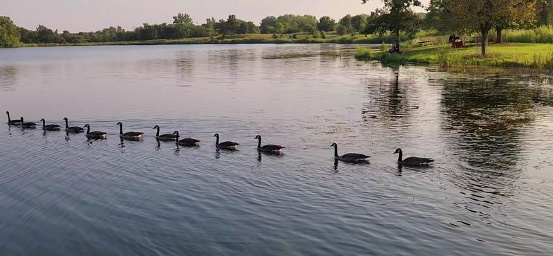 Birdwatching Opportunities That Will Surprise You