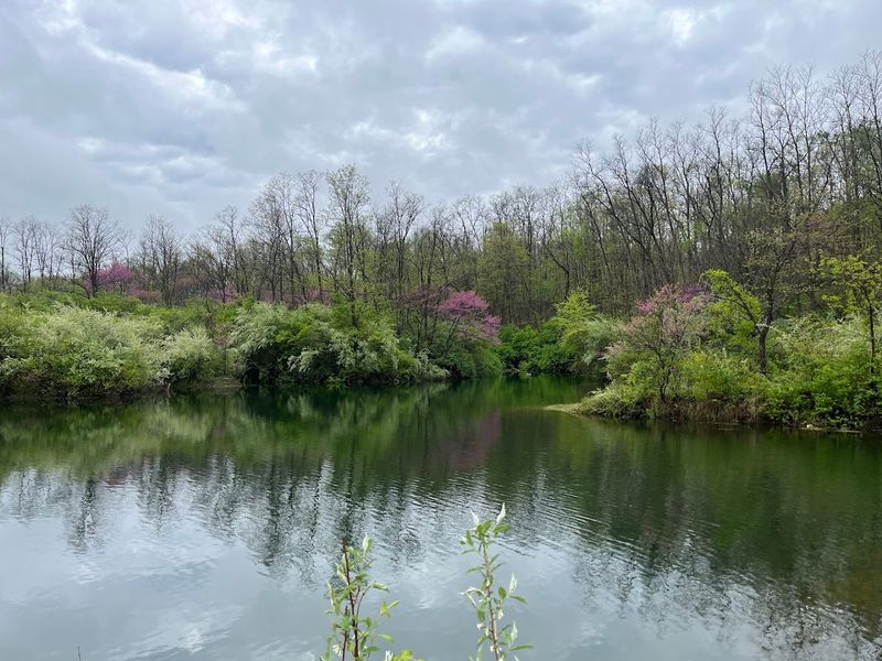 Birdwatching and Nature Photography Opportunities