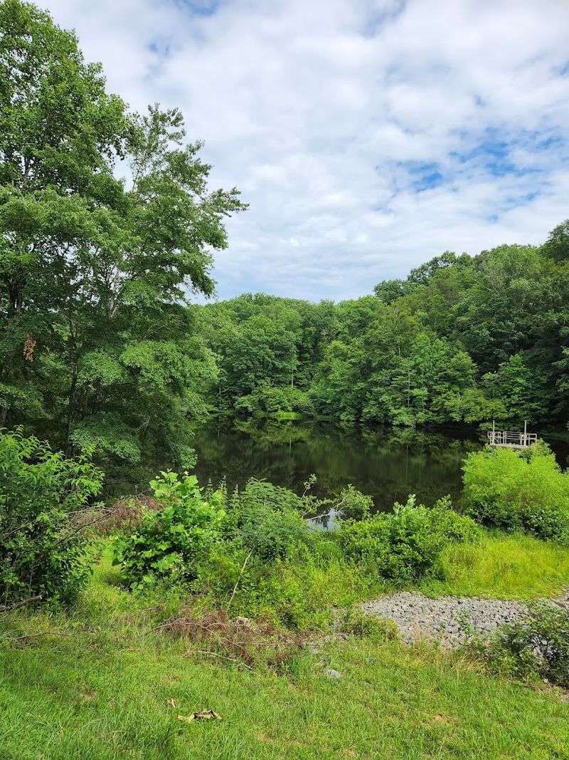 Birdwatching and Wildlife Along the River Corridor