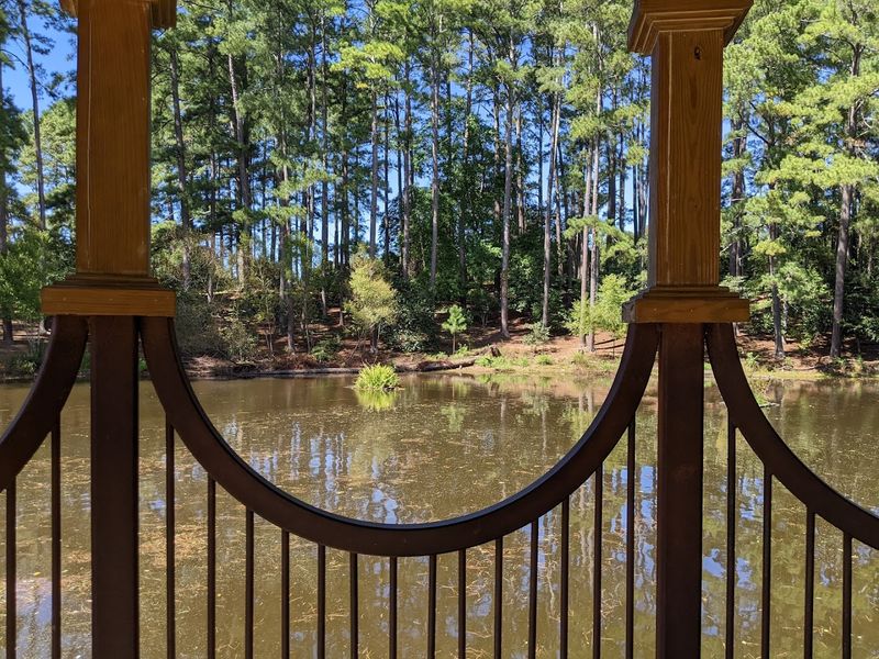 Birdwatching and Wildlife Observation Opportunities
