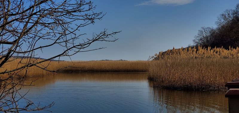 Birdwatching in the Piermont Marsh