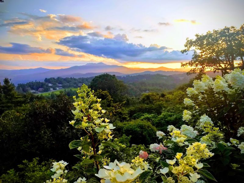 Blowing Rock Art and History Museum Blowing Rock Art and History Museum