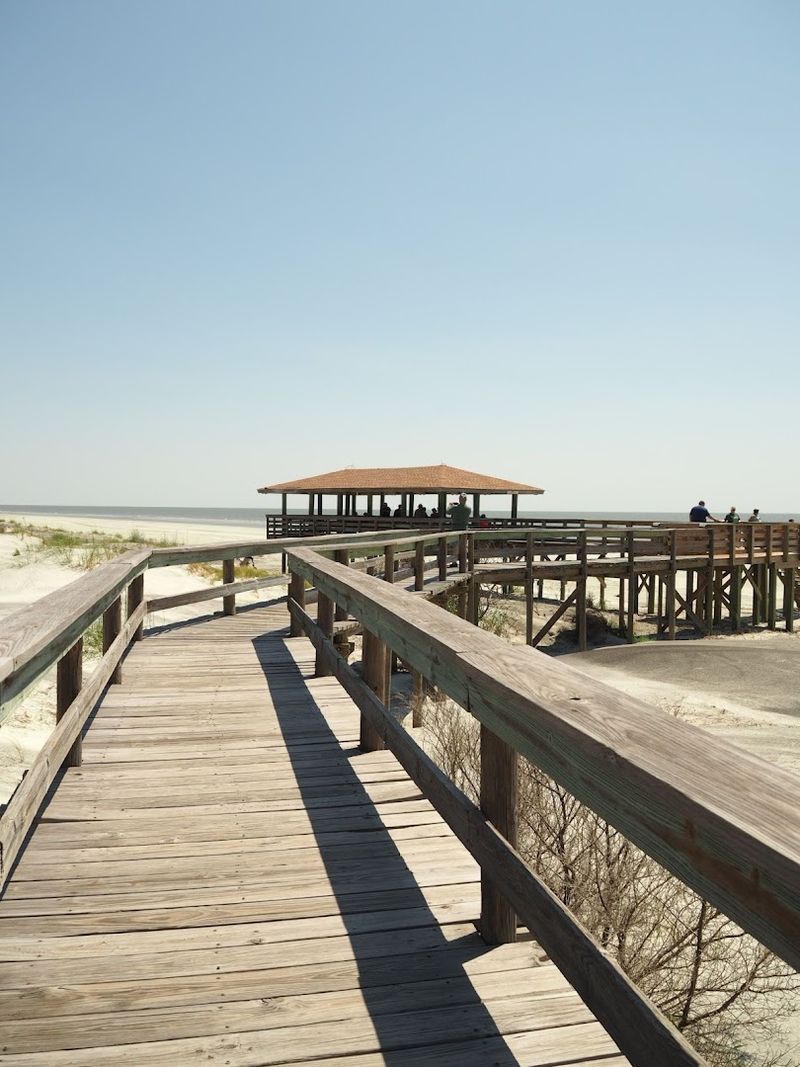 Blue Crabs, Microscopes, and Outdoor Learning