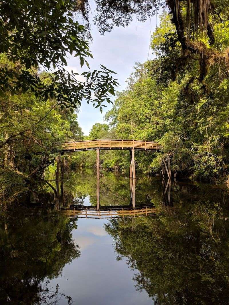 Boardwalks and Wetland Trails Through Unique Florida Ecosystems