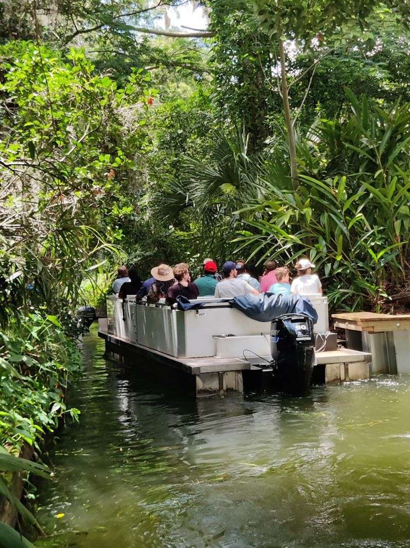 Boat Tours That Feel Absolutely Magical