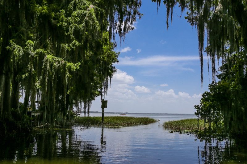 Boating and Fishing on the Harris Chain of Lakes