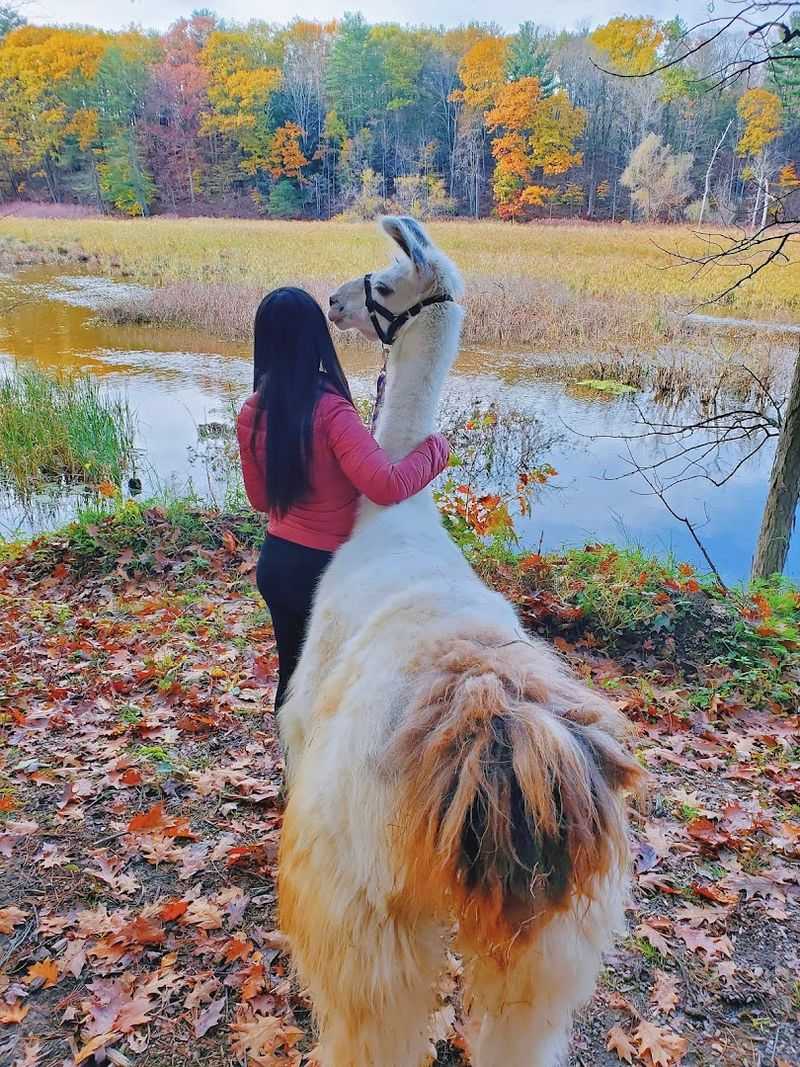Booking a Private Farm Tour for an Intimate, Personalized Experience