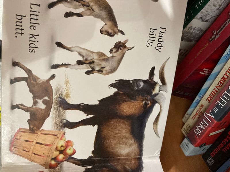 Books, Toys, and Kids' Sections Full of Surprises
